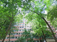 Costin Georgian - 1 Decembrie 1918 - Titan - 10 min metrou Costin Georgian